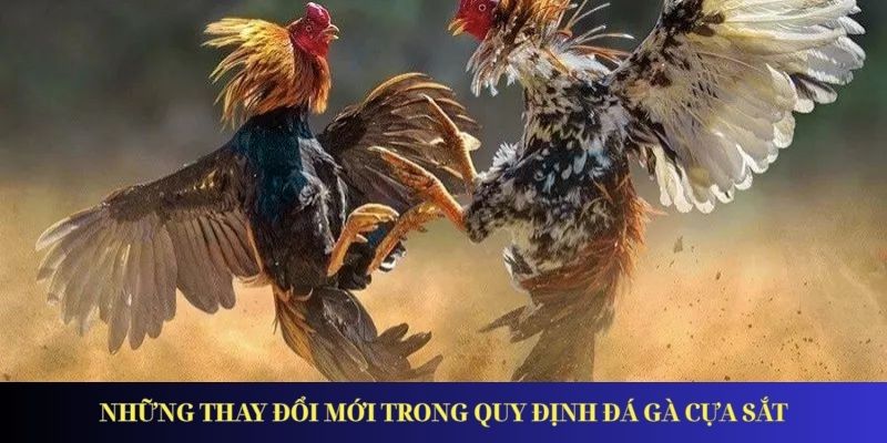 Những thay đổi mới trong quy định đá gà cựa sắt