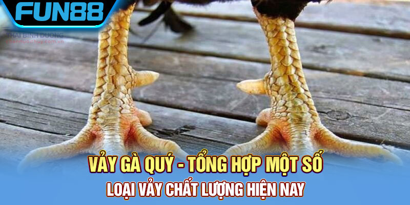 Vay Ga Quy Tong Hop Mot So Loai Vay Chat Luong Hien Nay
